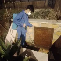 سمپاشی پگاه غرب ( ساس موش موریانه سوسک و.‌)|خدمات نظافت|تهران, باغ فیض|دیوار