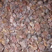 کشمش و زردالو|خوردنی و آشامیدنی|سردرود, |دیوار