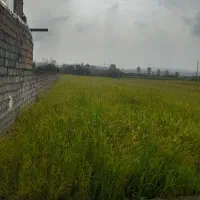 فروش فوری زمین