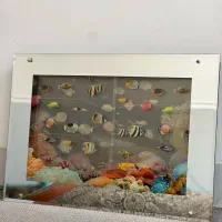 شب خواب|چراغ خواب و آباژور|درگهان, |دیوار