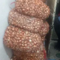 فروشی پیاز