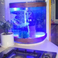 آکواریوم با تمام وسایلاش