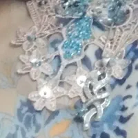 پلاک نقره گم شده