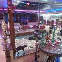 به تعدادی سالندار وارد خانم