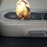 نگین شجر قائن اصل معدنی مصور منظره های بینظیر|جواهرات|کرج, شهرک بنفشه|دیوار