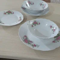 سرویس گل سرخ قدیمی درحدنو