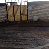 دامداری  به همراه دام