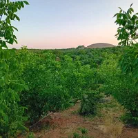 ویلا باغچه|فروش خانه و ویلا|زاینده رود, |دیوار