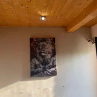 ویلاباغ ۵۰۰ زمین ۲۰۰ بنابدون مشابه در*اول مهراباد*|فروش خانه و ویلا|رودهن, |دیوار