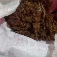 کشمش بیدانه کشمشی اصل اورگانیک