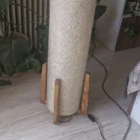 آباژور ایستاده.