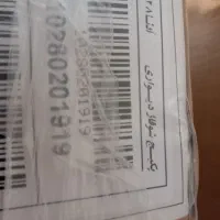 پکیچ لورچ