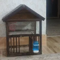 قفس پرنده