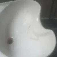 دوعددسرشورارایشگاه