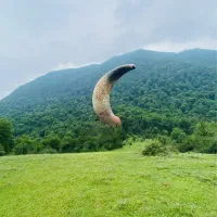 سیم کارت رند 171