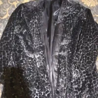 پالتوپوست|لباس|فردیس, شهرک ۱۱۰|دیوار