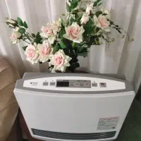 بخاری ژاپنی (همه مدل و سایز)|بخاری، هیتر، شومینه|مشهد, شهرک رازی (شهرک غرب)|دیوار