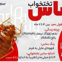 شرکت سمپاشی پاکسازان،سم پاشی ساس سوسک باافرادمتخصص|خدمات نظافت|تهران, خرمشهر|دیوار