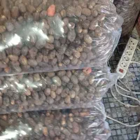 خرید و فروش ضایعات عمده و خورده. درنرماشیر|عمدهفروشی|نرماشیر, |دیوار