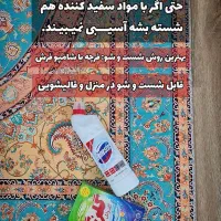 فرشینه|فرش|کاشمر, |دیوار