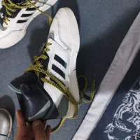 کفش مردانه|کیف، کفش، کمربند|جوانرود, |دیوار