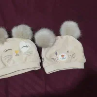 کریر|کالسکه و لوازم جانبی|کرج, باغستان|دیوار