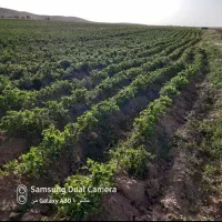 اجاره چاه آب با ،زمین