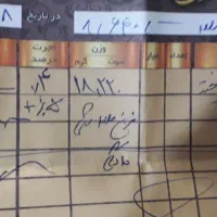 النگو طلا کار نو سایز ۲ وزن ۱۸/۲۲۰  با۵٪|جواهرات|مشهد, دانشجو|دیوار