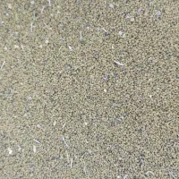 فروش بذر یونجه امریکایی