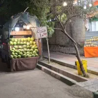 نیازمندکارگرمیوه فروشی