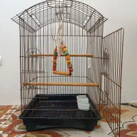 قفس عروس هلندی