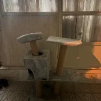 اسکرچر گربه