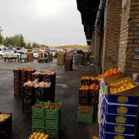 حق العمل کاری میدان تره بار قم