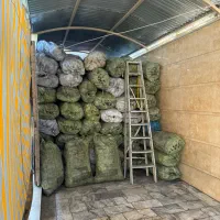 انواع زغال عمده|کوهنوردی و کمپینگ|زاهدان, |دیوار