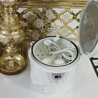 پلوپز ده نفره سانی نو|اجاق گاز و لوازم برقی پخت‌وپز|مشهد, تلگرد|دیوار