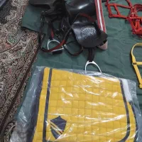 لوازم سوارکاری|اسب و تجهیزات اسب‌سواری|گرگان, |دیوار