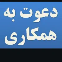حسابدار شرکت