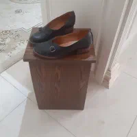 یک جفت کفش زنانه چرم