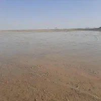 تسطیح لیزری|خدمات باغبانی و درختکاری|شوشتر, |دیوار