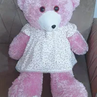 خرس بزرگ صورتی