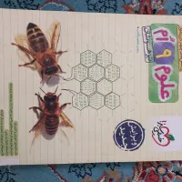 کتاب تست خیلی سبز