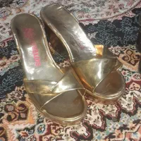 کفش|کیف، کفش، کمربند|کامیاران, |دیوار