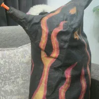 پوست آتشی درجه ۱|سازهای بادی|بوشهر, |دیوار