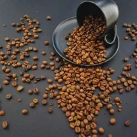 دونقهوهشکلاتچای کرکوماسالاپودریجاتترکگلد