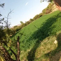 فروش-زمین-کشاورزی