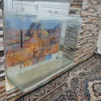اکواریوم|ماهی|نسیم‌شهر, |دیوار