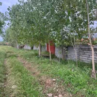 زمین خشکبیجار شهری بر آسفالت|فروش زمین و ملک کلنگی|رشت, بلوار گیلان|دیوار