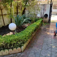 خدمات باغچه شامل هرس سمپاشی علف تراشی نگهداری باغ|خدمات باغبانی و درختکاری|نوشهر, |دیوار