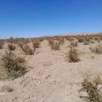 باغ ویلا|فروش خانه و ویلا|سربیشه, |دیوار