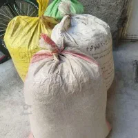 کود کفتر